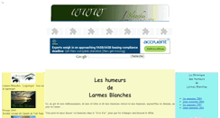 Desktop Screenshot of larmesblanches.com